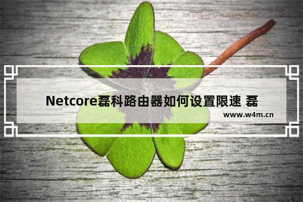 Netcore磊科路由器如何设置限速 磊科路由器设置限速方法【详细介绍】