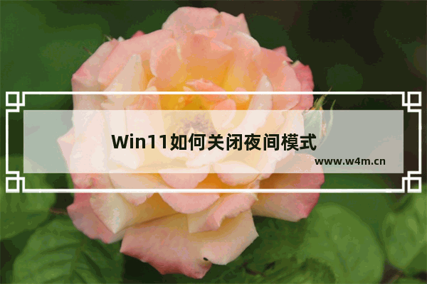 Win11如何关闭夜间模式