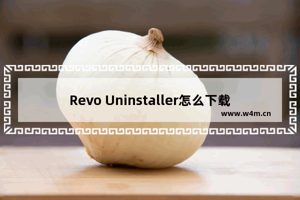 Revo Uninstaller怎么下载安装