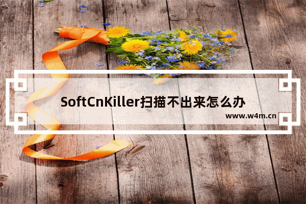 SoftCnKiller扫描不出来怎么办