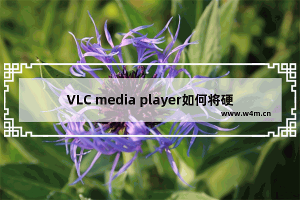 VLC media player如何将硬件加速解码设置为自动