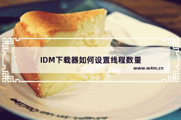 IDM下载器如何设置线程数量