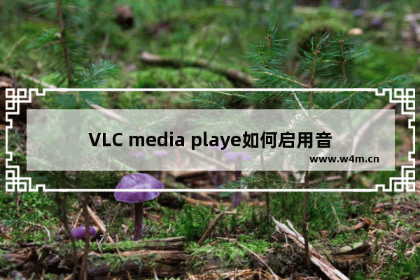 VLC media playe如何启用音频时间拉伸效果功能