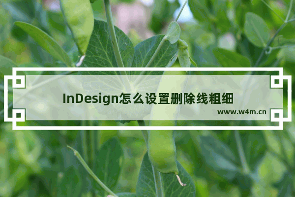 InDesign怎么设置删除线粗细