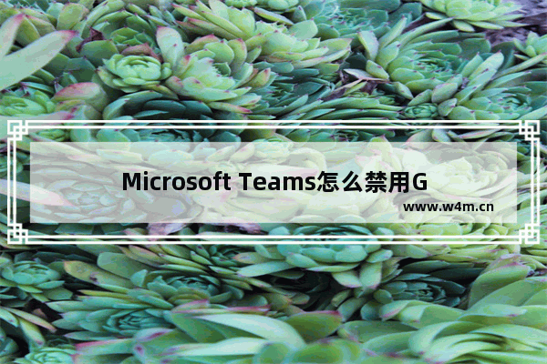 Microsoft Teams怎么禁用GPU加速