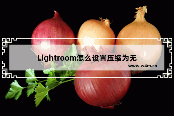 Lightroom怎么设置压缩为无