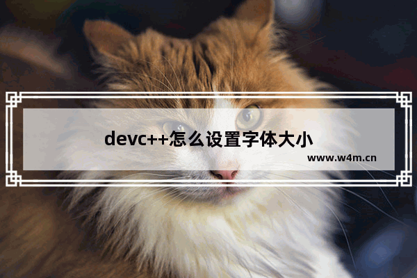 devc++怎么设置字体大小