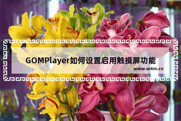 GOMPlayer如何设置启用触摸屏功能