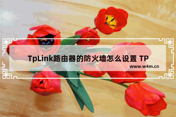 TpLink路由器的防火墙怎么设置 TPlink路由器的防火墙设置方法