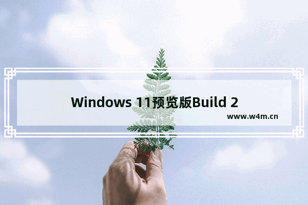 Windows 11预览版Build 25419更新内容介绍