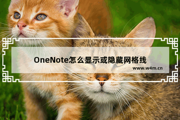 OneNote怎么显示或隐藏网格线