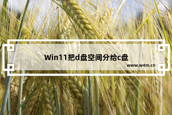 Win11把d盘空间分给c盘