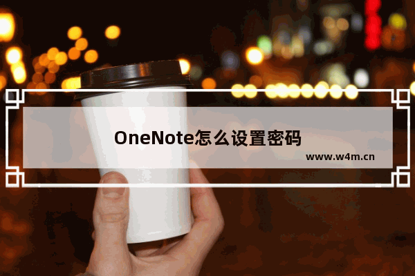 OneNote怎么设置密码