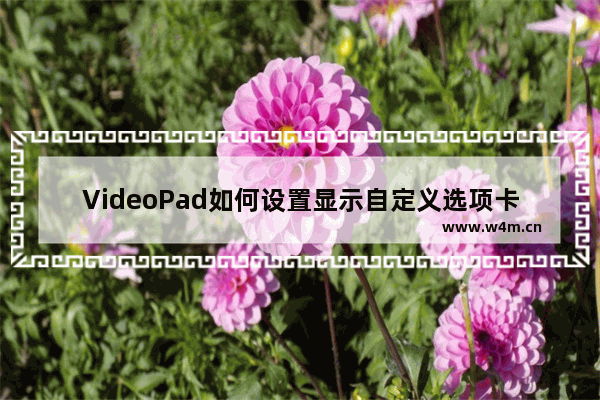 VideoPad如何设置显示自定义选项卡