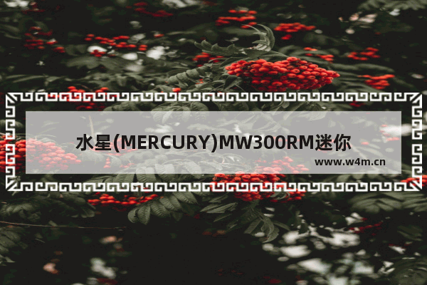 水星(MERCURY)MW300RM迷你路由器Router模式设置上网