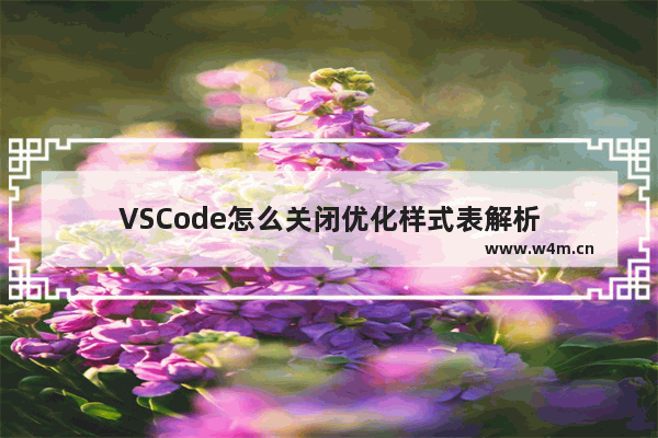 VSCode怎么关闭优化样式表解析