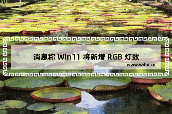 消息称 Win11 将新增 RGB 灯效控制功能，有望取代各厂商灯效软件