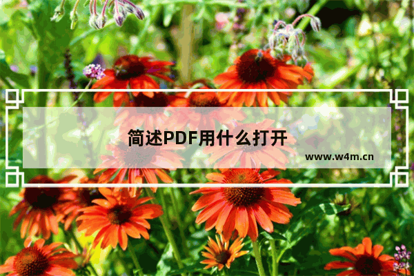 简述PDF用什么打开