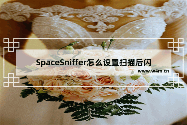 SpaceSniffer怎么设置扫描后闪烁窗口