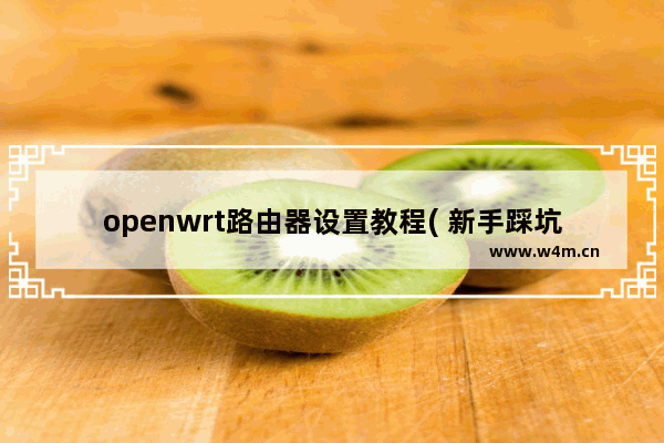 openwrt路由器设置教程( 新手踩坑手册)