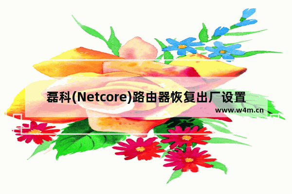 磊科(Netcore)路由器恢复出厂设置详细步骤