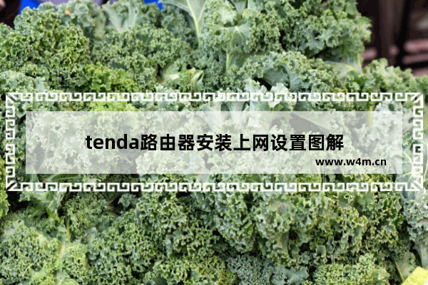 tenda路由器安装上网设置图解