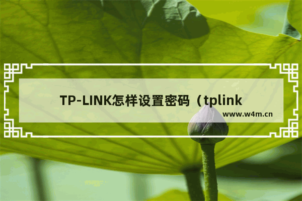 TP-LINK怎样设置密码（tplink路由器修改密码步骤）