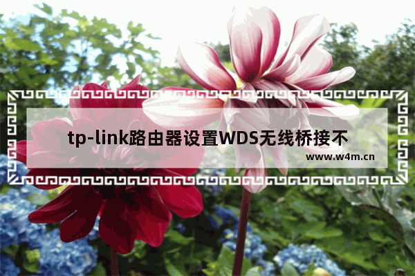 tp-link路由器设置WDS无线桥接不成功怎么办？