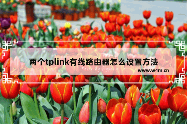 两个tplink有线路由器怎么设置方法