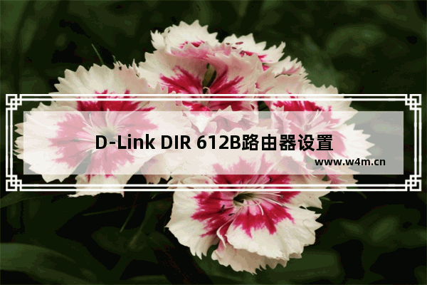 D-Link DIR 612B路由器设置上网教程