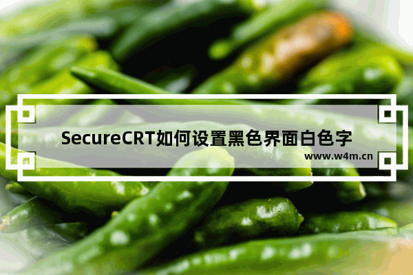 SecureCRT如何设置黑色界面白色字体