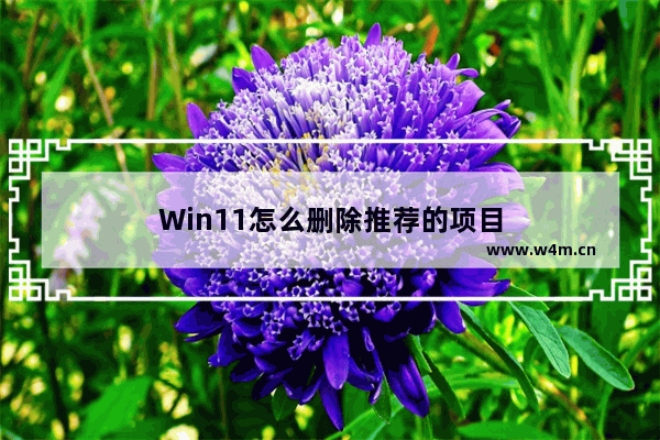 Win11怎么删除推荐的项目