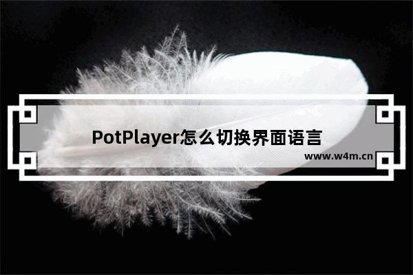 PotPlayer怎么切换界面语言