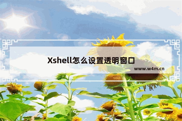 Xshell怎么设置透明窗口