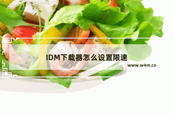 IDM下载器怎么设置限速