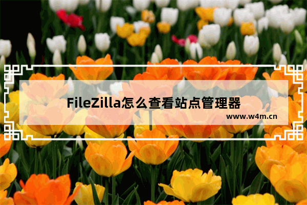 FileZilla怎么查看站点管理器