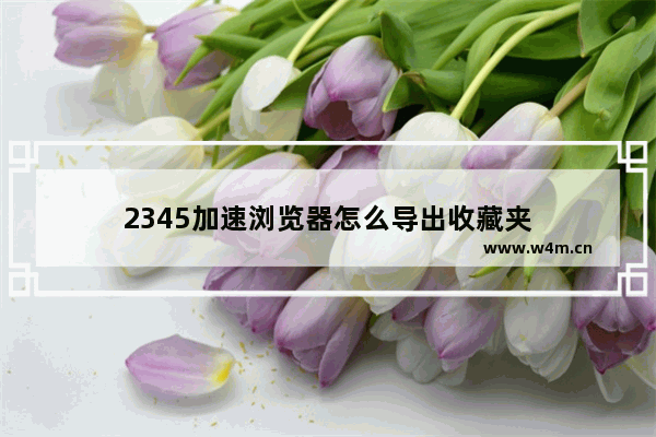 2345加速浏览器怎么导出收藏夹