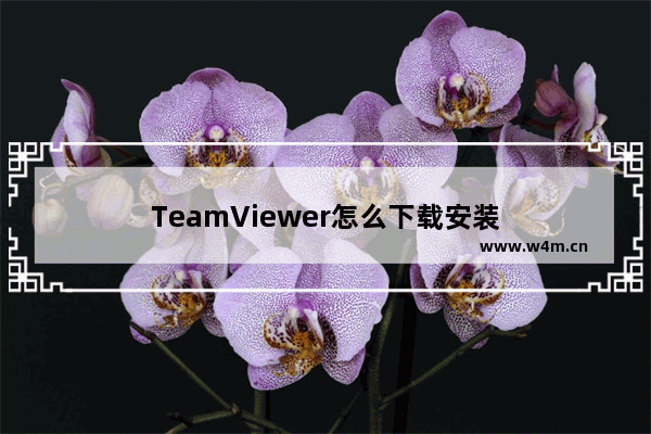 TeamViewer怎么下载安装