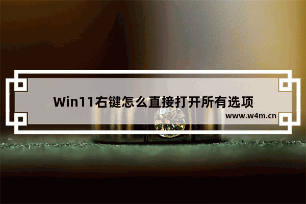 Win11右键怎么直接打开所有选项