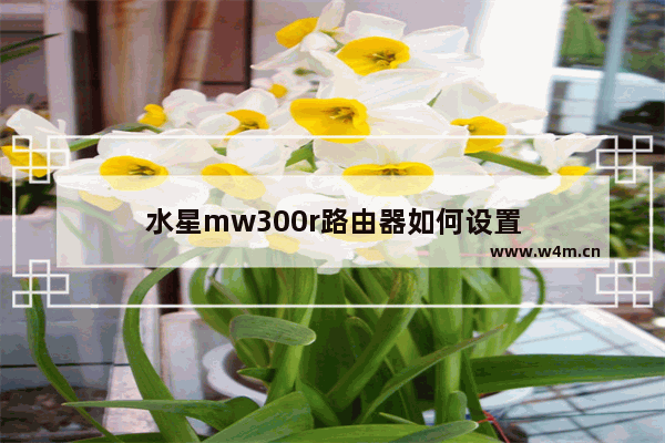 水星mw300r路由器如何设置