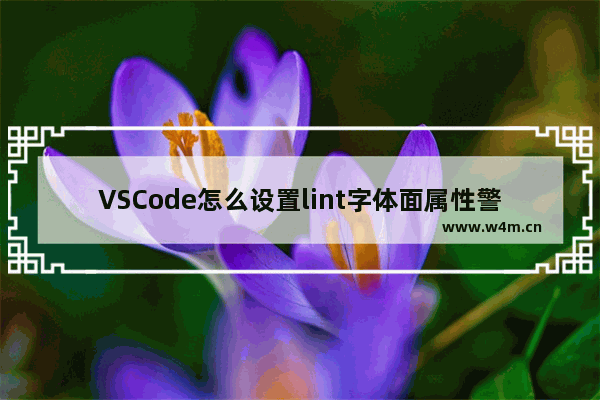 VSCode怎么设置lint字体面属性警告