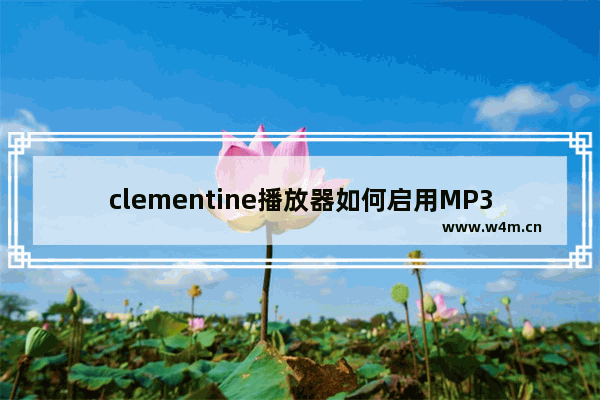 clementine播放器如何启用MP3质量优化功能