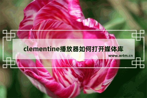 clementine播放器如何打开媒体库树重单个分类