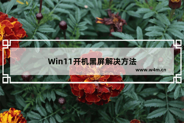 Win11开机黑屏解决方法