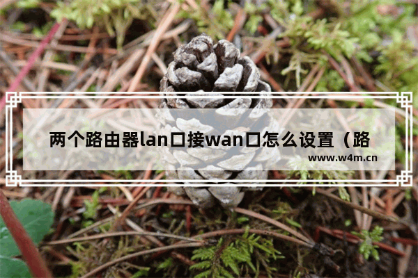 两个路由器lan口接wan口怎么设置（路由器wan口和lan口怎么接）