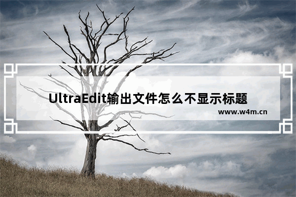 UltraEdit输出文件怎么不显示标题