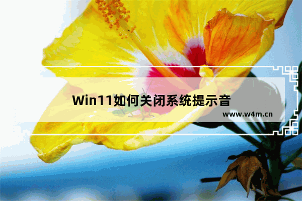 Win11如何关闭系统提示音