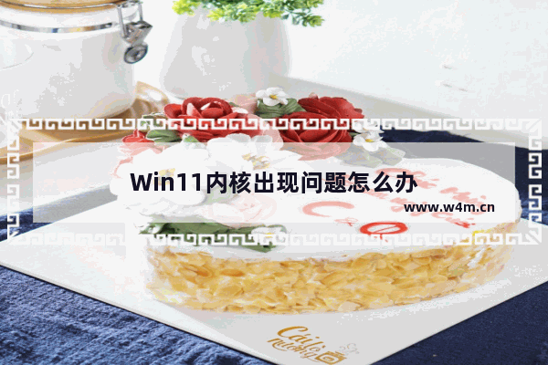 Win11内核出现问题怎么办