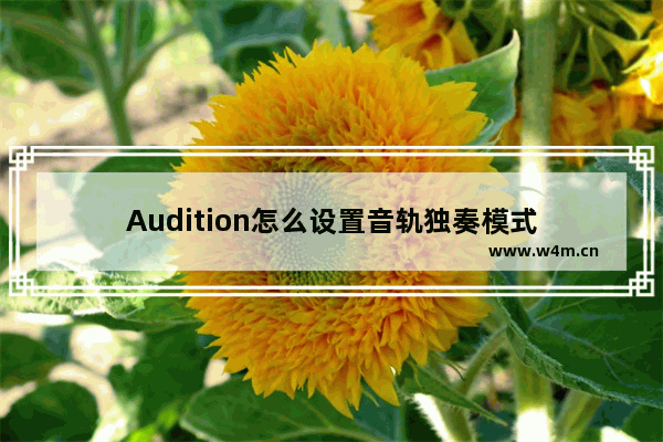 Audition怎么设置音轨独奏模式