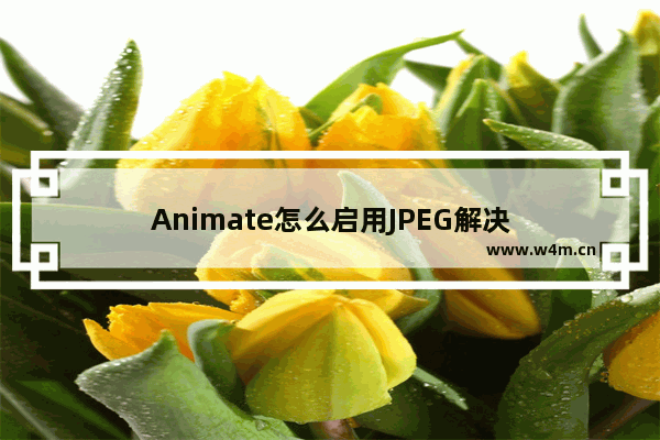 Animate怎么启用JPEG解决